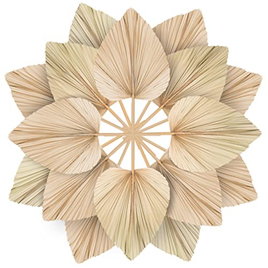 10 Large Bulk Boho Dried Palm  - Palm Leaf Dried บทวิจารณ์และราคา
