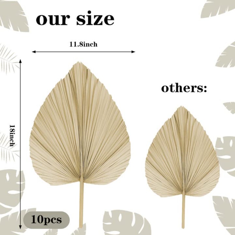 10 Large Bulk Boho Dried Palm  - Palm Leaf Dried บทวิจารณ์และราคา
