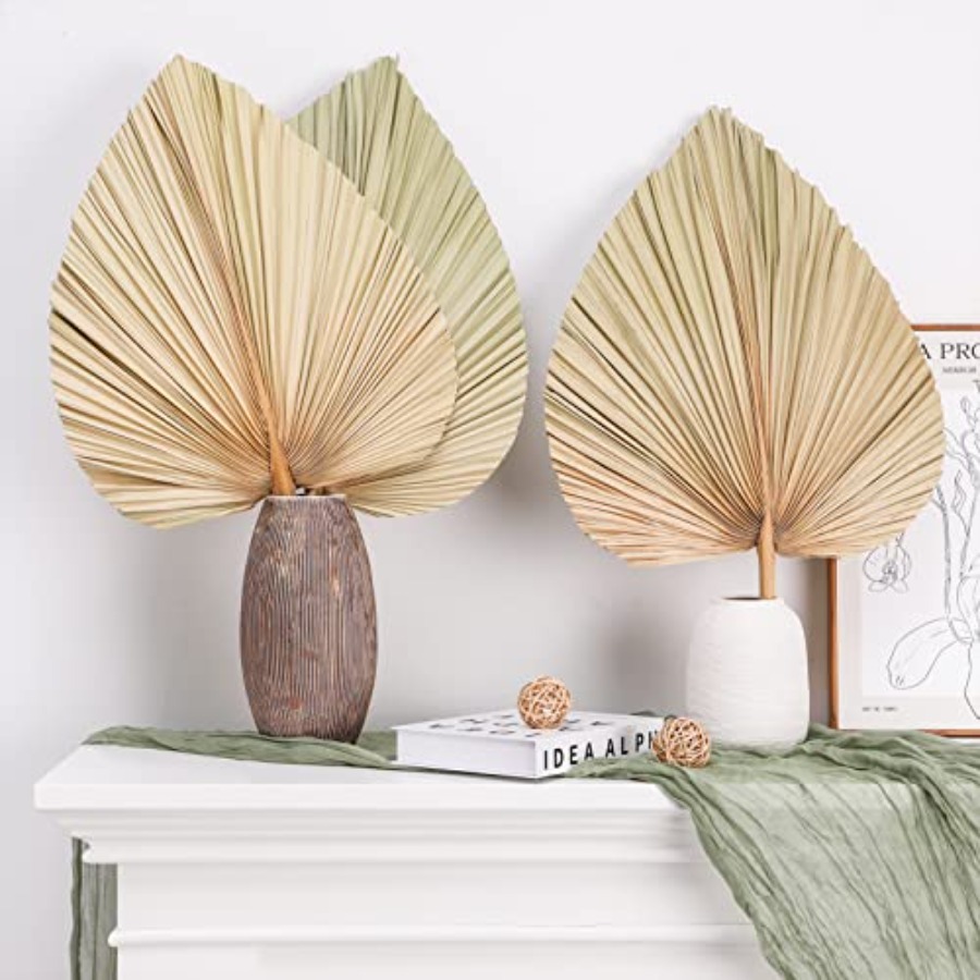 10 Large Bulk Boho Dried Palm  - Palm Leaf Dried บทวิจารณ์และราคา