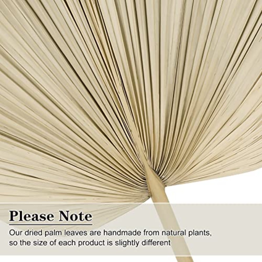10 Large Bulk Boho Dried Palm  - Palm Leaf Dried บทวิจารณ์และราคา