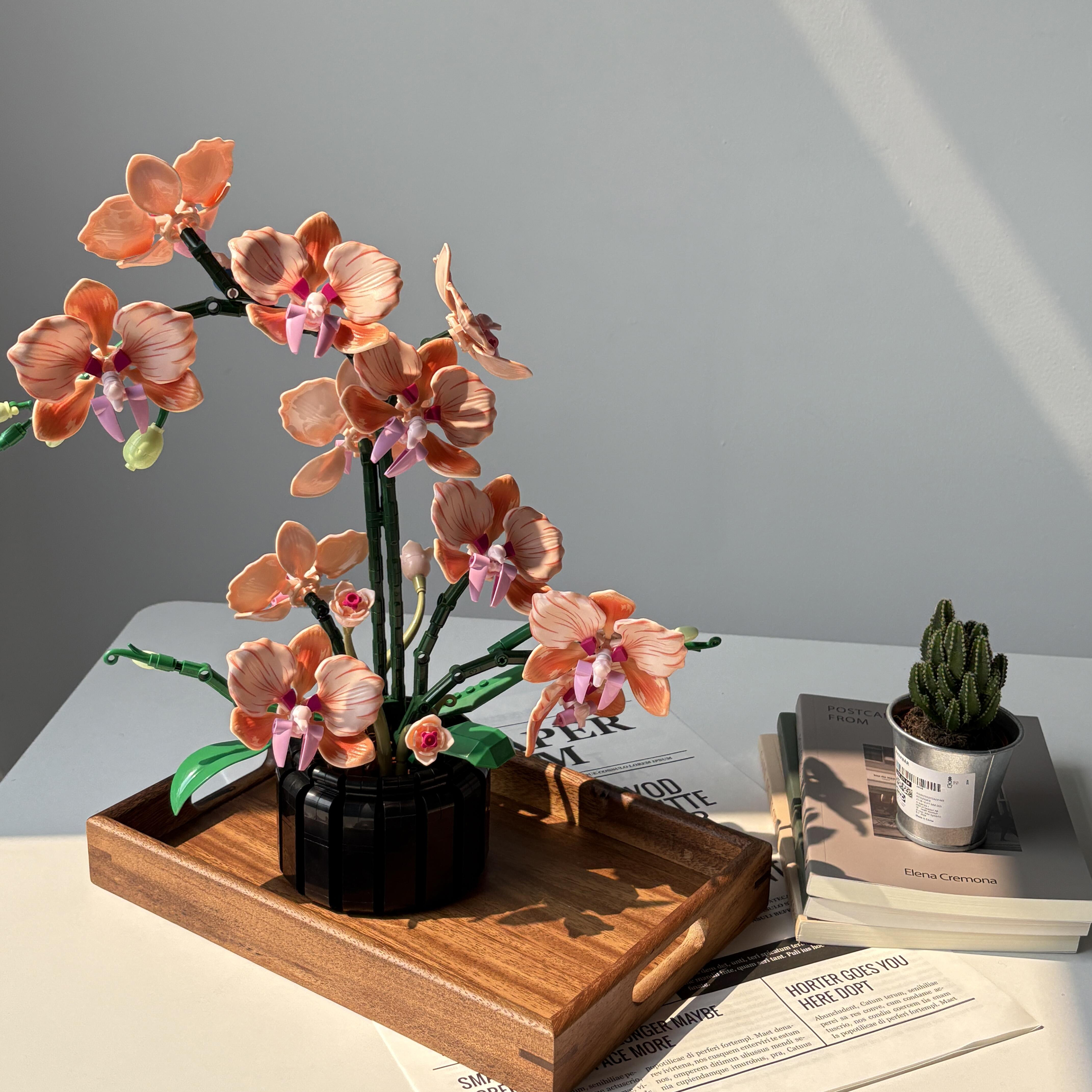 Orange Phalaenopsis Orchid Bui - Florist Supply Vases บทวิจารณ์และราคา