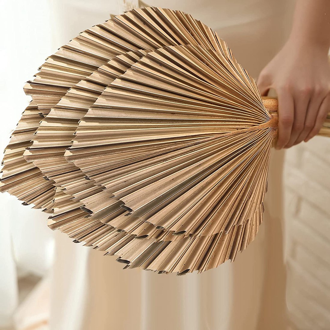 5Pcs Natural Dried Palm Leaves - Palm Leaf Dried บทวิจารณ์และราคา