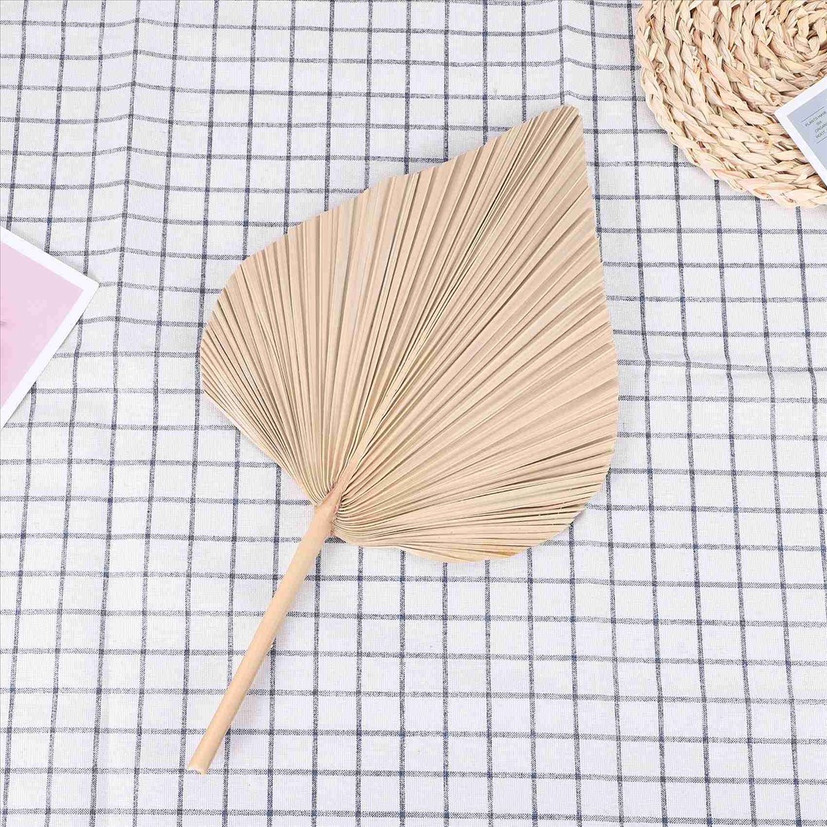 NOCM Dried Palm Leaves Room De - Palm Leaf Dried บทวิจารณ์และราคา