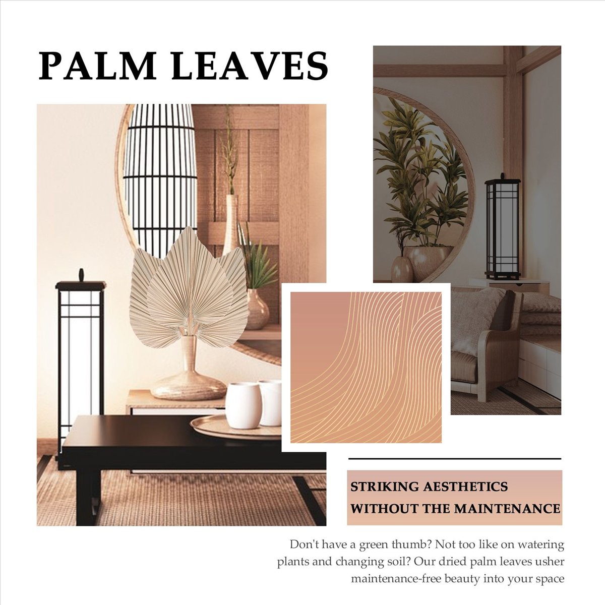 NOCM Dried Palm Leaves Room De - Palm Leaf Dried บทวิจารณ์และราคา