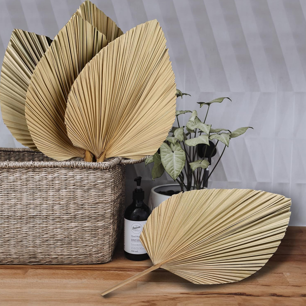 Dried Palm Leaves Boho Palm Le - Palm Leaf Dried บทวิจารณ์และราคา