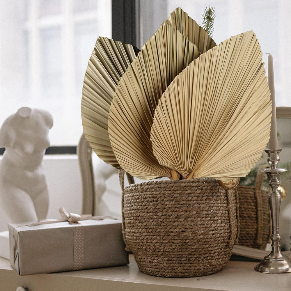 Dried Palm Leaves Boho Palm Le - Palm Leaf Dried บทวิจารณ์และราคา