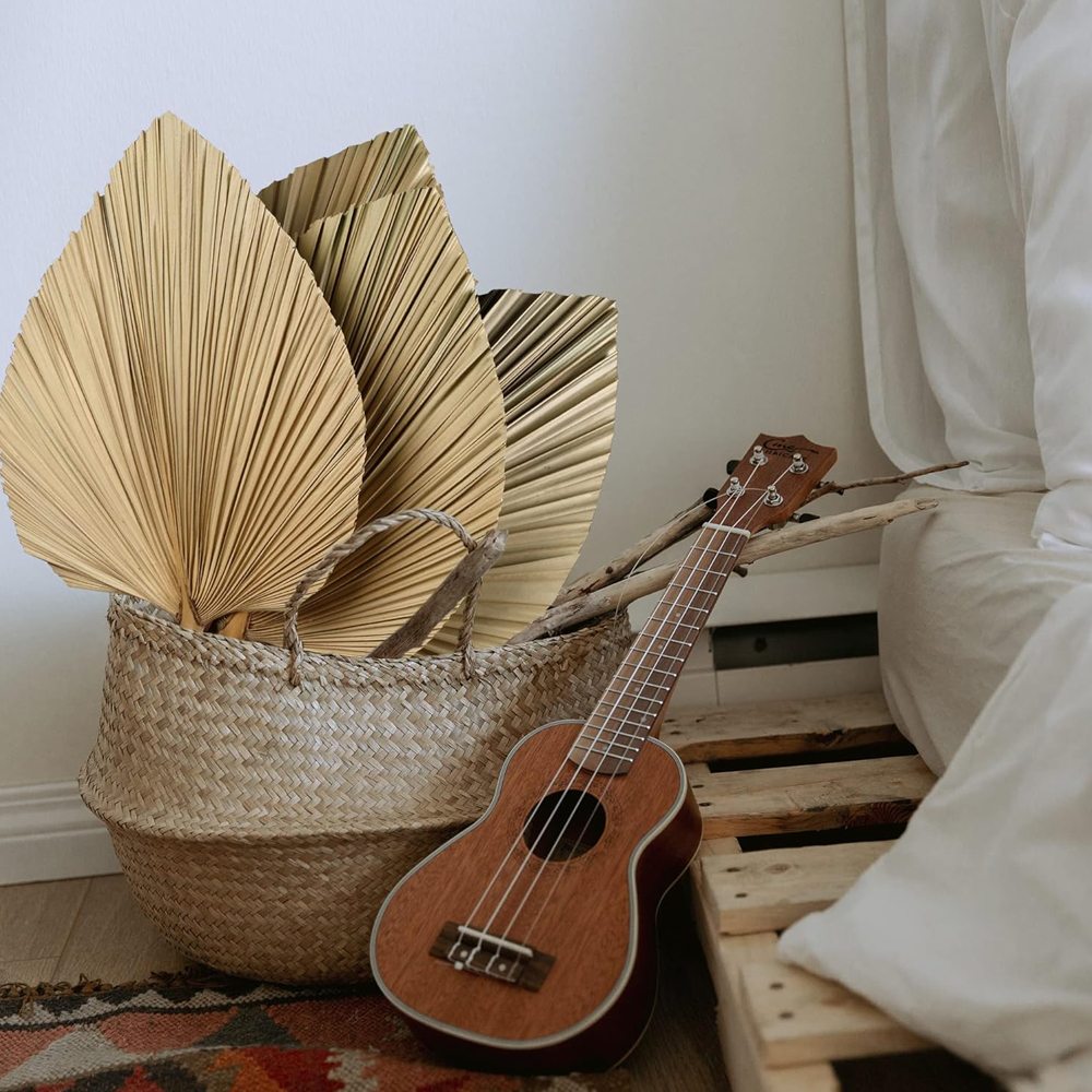 Dried Palm Leaves Boho Palm Le - Palm Leaf Dried บทวิจารณ์และราคา