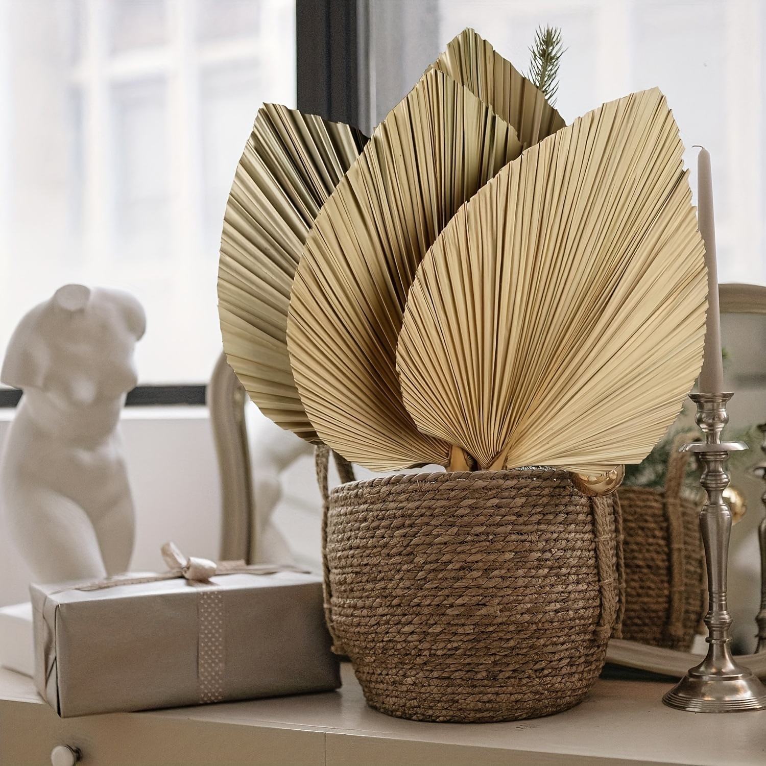 3 PCS Natural Dried Palm Leave - Palm Leaf Dried บทวิจารณ์และราคา