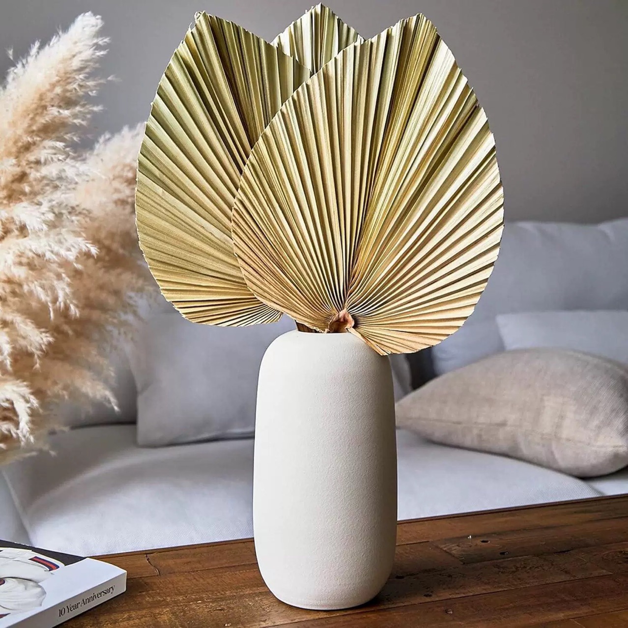 3 PCS Natural Dried Palm Leave - Palm Leaf Dried บทวิจารณ์และราคา