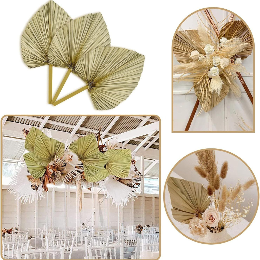 3 PCS Natural Dried Palm Leave - Palm Leaf Dried บทวิจารณ์และราคา