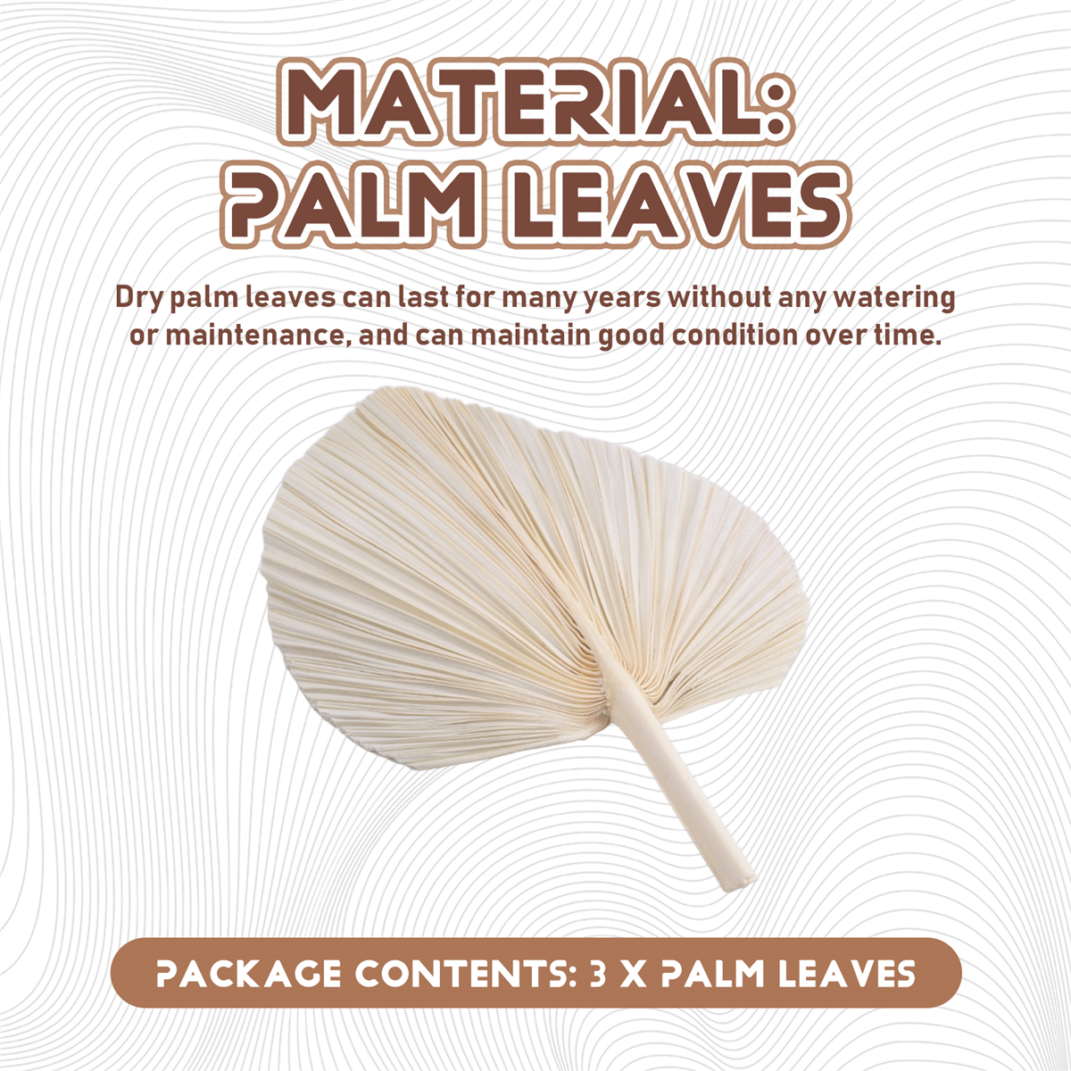 Qualitative Large White Dried  - Palm Leaf Dried บทวิจารณ์และราคา