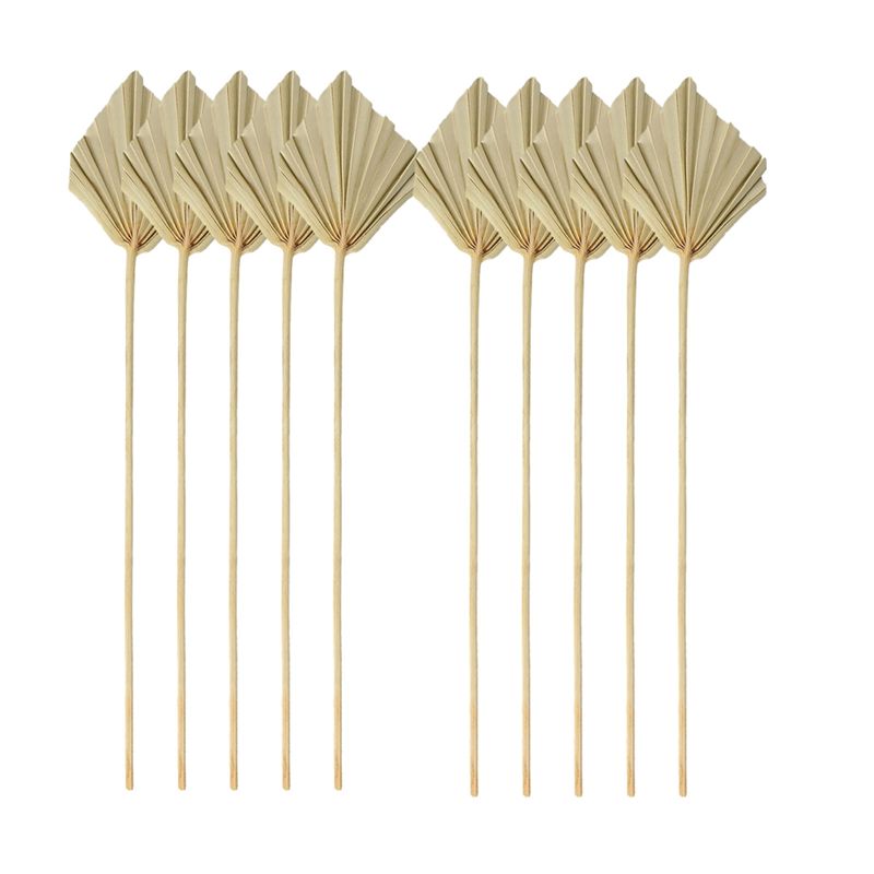 TFORU-Boho Dried Palm Spears S - Palm Leaf Dried บทวิจารณ์และราคา
