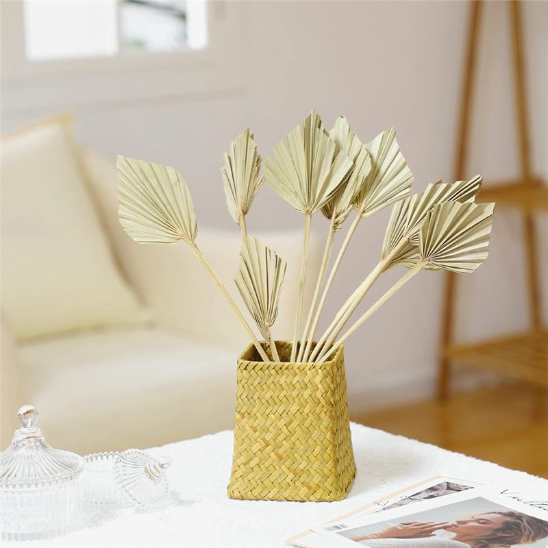 TFORU-Boho Dried Palm Spears S - Palm Leaf Dried บทวิจารณ์และราคา