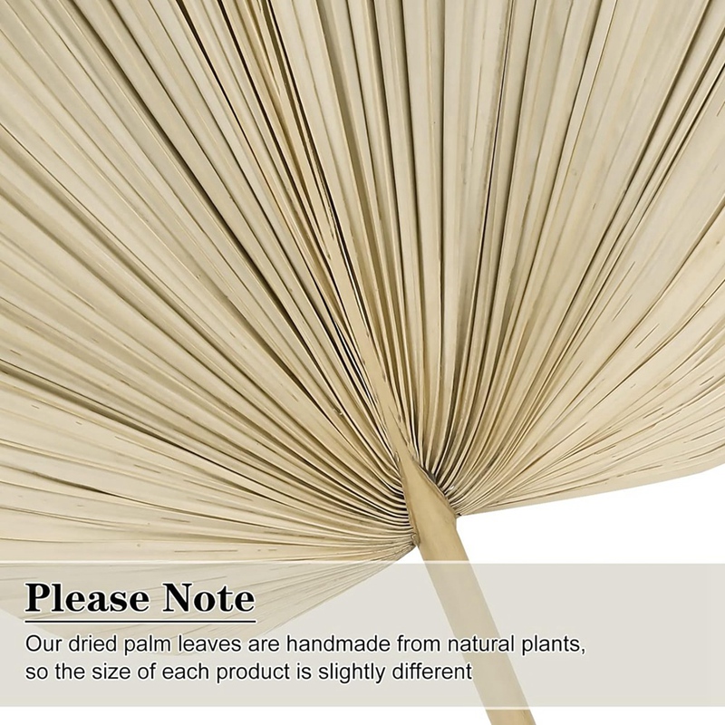 New 6PCS Dried Palm Leaves Nat - Palm Leaf Dried บทวิจารณ์และราคา