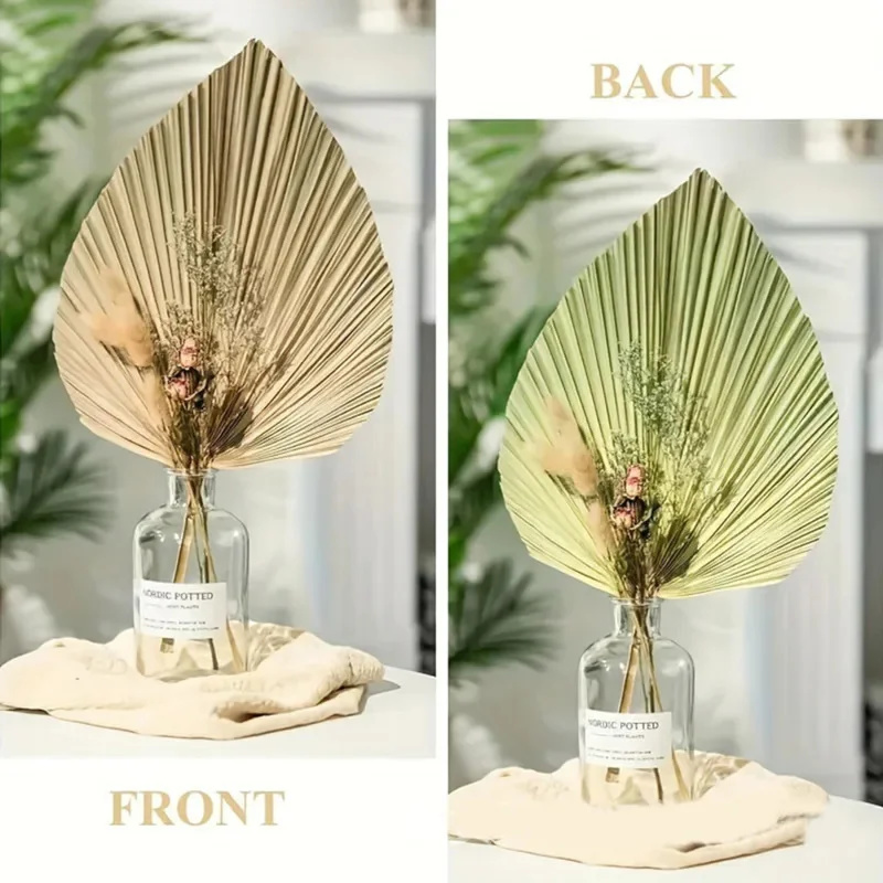 Mini Dried Palm Leaves – Tropi - Palm Leaf Dried บทวิจารณ์และราคา