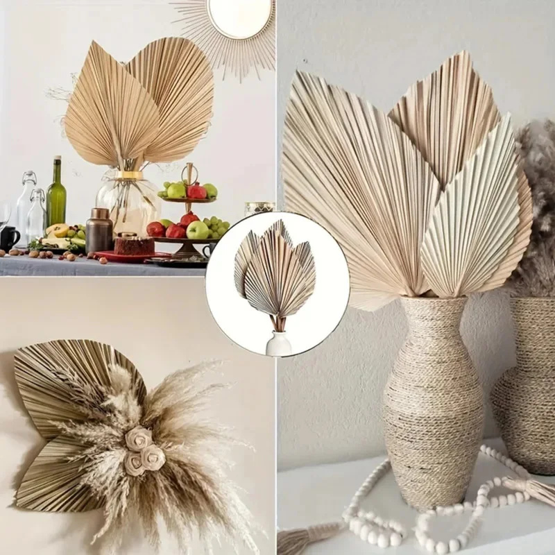 Mini Dried Palm Leaves – Tropi - Palm Leaf Dried บทวิจารณ์และราคา
