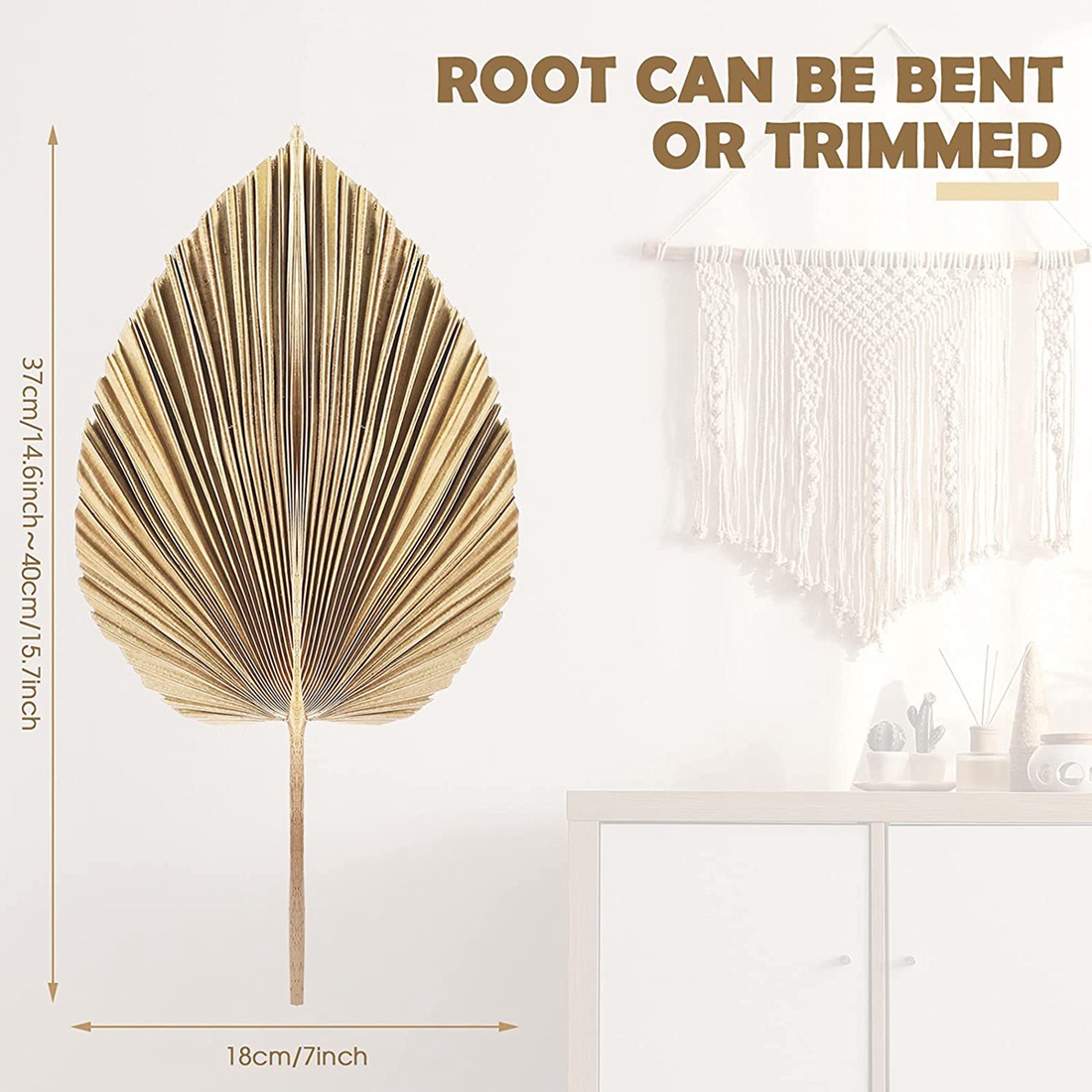 5Pcs Natural Dried Palm Leaves - Palm Leaf Dried บทวิจารณ์และราคา