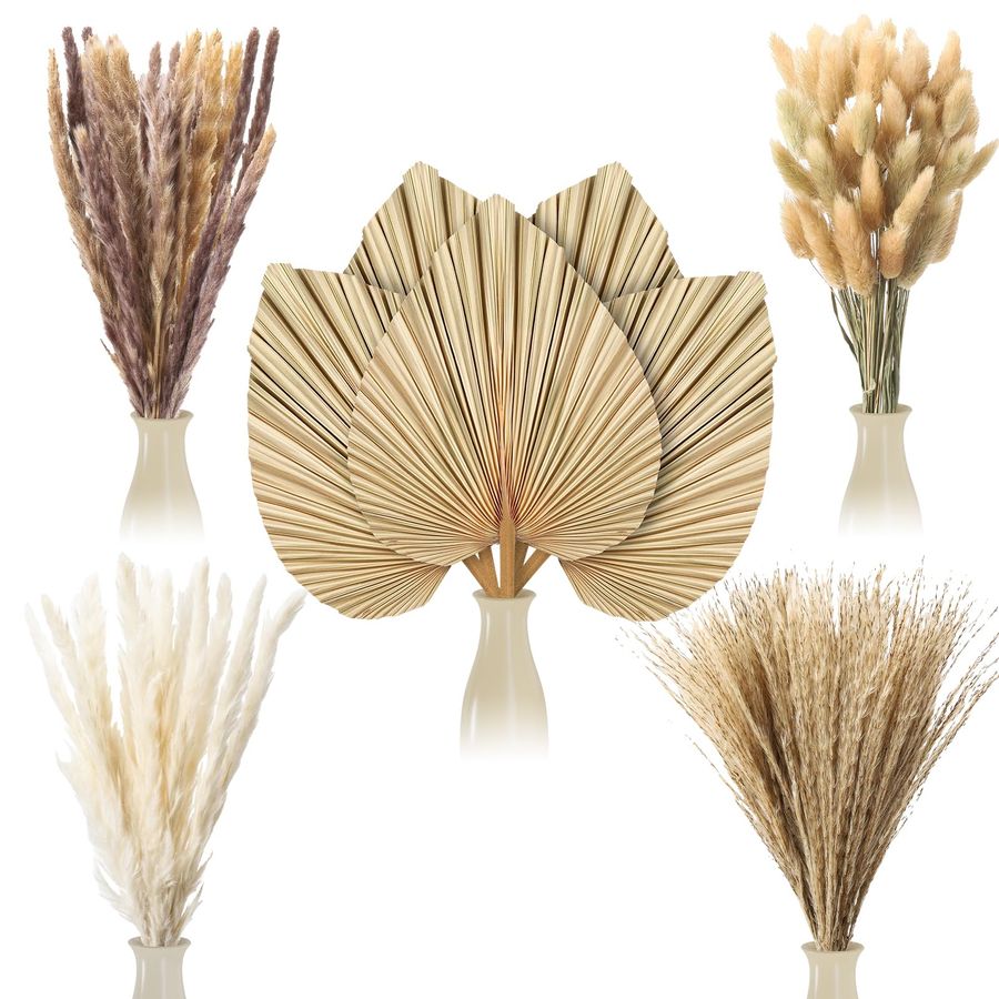 Pcs Boho Dried Pampas Grass De - Palm Leaf Dried บทวิจารณ์และราคา