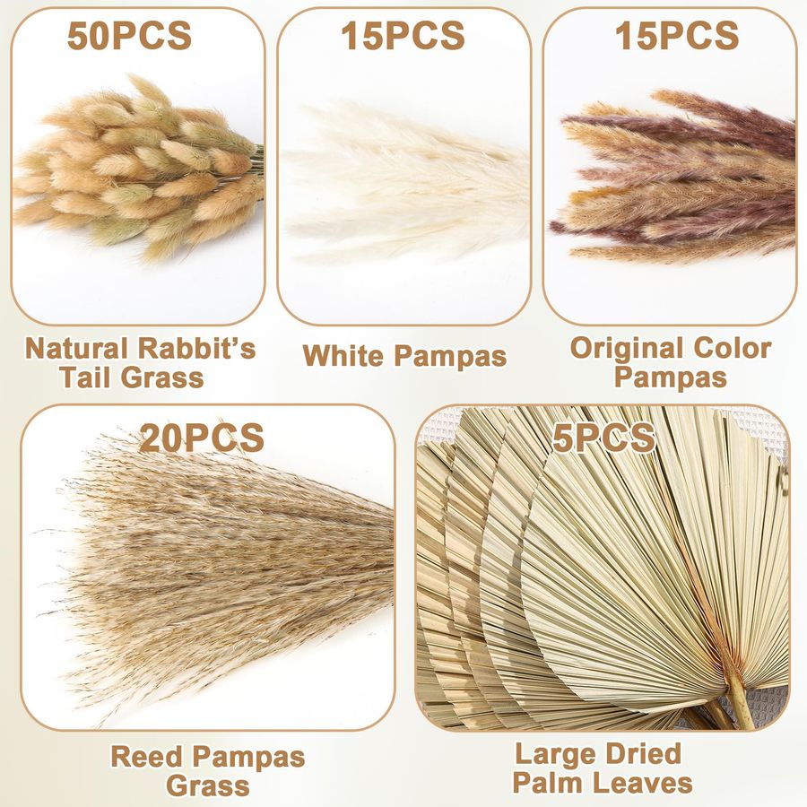 Pcs Boho Dried Pampas Grass De - Palm Leaf Dried บทวิจารณ์และราคา